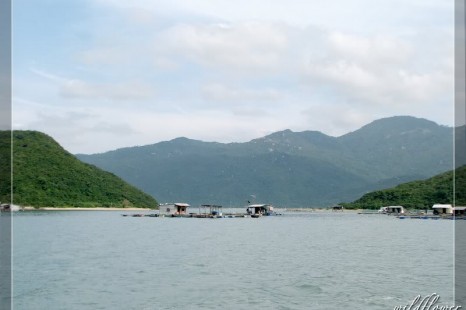 Tour Du Lịch Nha Trang (Vịnh Nha Phu - Đảo Khỉ ) 1 Ngày